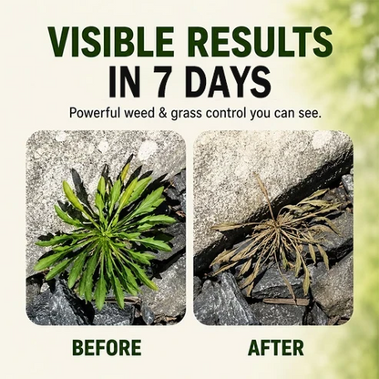 🔥🔥2026 SALE - Reclaim A Clean, Weed-Free Yard Starting Today