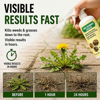 🔥🔥2026 SALE - Reclaim A Clean, Weed-Free Yard Starting Today