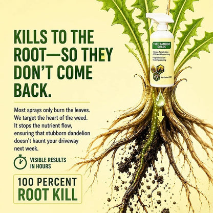 🔥🔥2026 SALE - Reclaim A Clean, Weed-Free Yard Starting Today
