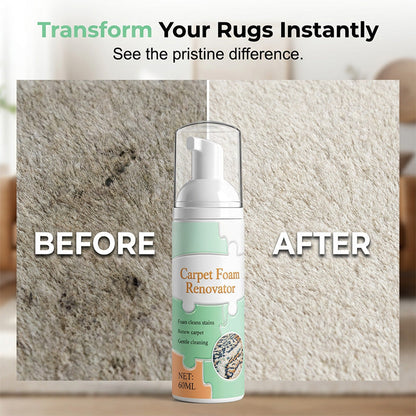 WaterlessCarpet Foam Stain Remover with Towel